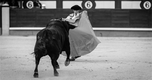 Fuerte corrida de Cuadri