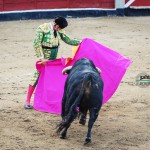 Gahirupe Morante de la Puebla 2012 (2)