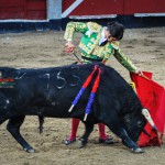 Gahirupe Morante de la Puebla 2012 (7)