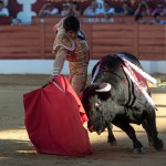 Gahirupe Sebastian Castella Torrejon 2015 (10)