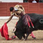 Gahirupe Colmenar Viejo 2015 Tercera (8)