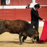 Gahirupe Tentadero Torrejon 2015 (10)