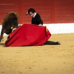 Gahirupe Tentadero Torrejon 2015 (14)