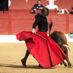 Gahirupe Tentadero Torrejon 2015 (15)