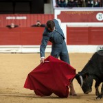 Gahirupe Tentadero Torrejon 2015 (19)