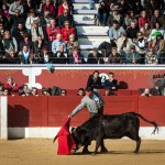 Gahirupe Tentadero Torrejon 2015 (2)