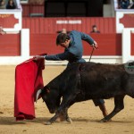 Gahirupe Tentadero Torrejon 2015 (20)