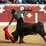 Gahirupe Tentadero Torrejon 2015 (22)