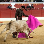 Gahirupe Tentadero Torrejon 2015 (25)