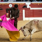 Gahirupe Tentadero Torrejon 2015 (26)