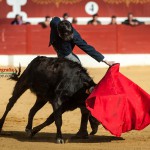 Gahirupe Tentadero Torrejon 2015 (4)