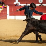 Gahirupe Tentadero Torrejon 2015 (5)