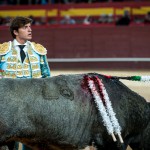 Gahirupe Valdemorillo 2016 Borja Jimenez Lama de Gongora Espada Ana Romero (15)