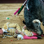 Gahirupe Valdemorillo 2016 Borja Jimenez Lama de Gongora Espada Ana Romero (18)