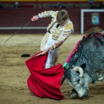 Gahirupe Valdemorillo 2016 Borja Jimenez Lama de Gongora Espada Ana Romero (20)