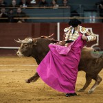 Gahirupe Vistalegre 2016 Corrida Toros (26)