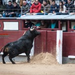 Gahirupe Novillada Madrid Primera temporada (10)