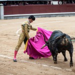 Gahirupe Novillada Madrid Primera temporada (11)