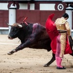 Gahirupe Novillada Madrid Primera temporada (18)