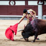 Gahirupe Novillada Madrid Primera temporada (19)