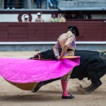 Gahirupe Novillada Madrid Primera temporada (21)