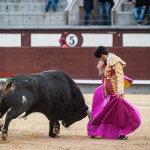 Gahirupe Novillada Madrid Primera temporada (26)