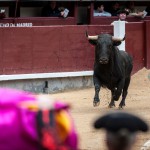 Gahirupe Novillada Madrid Primera temporada (5)