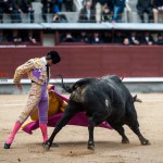 Gahirupe Novillada Madrid Primera temporada (6)