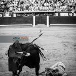 Gahirupe 24Mayo San Isidro 2016 (14)
