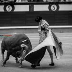 Gahirupe Decima San Isidro 2016 (15)