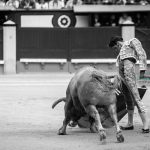 Gahirupe Decima San Isidro 2016 (18)