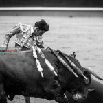 Gahirupe Decima San Isidro 2016 (30)