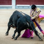 Gahirupe Decima San Isidro 2016 (8)