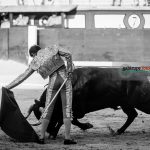 Gahirupe Aitor Dario El Gallo 2016 (5)