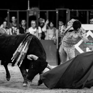 gahirupe-juan-de-castilla-arganda-2016-6