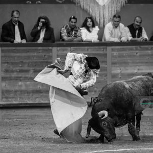 gahirupe_arnedo_2017_ (13)