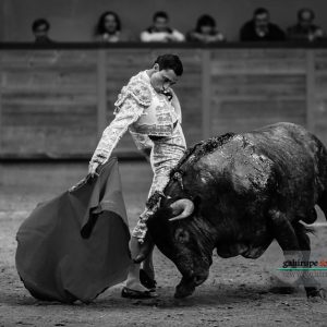 gahirupe_arnedo_2017_ (14)