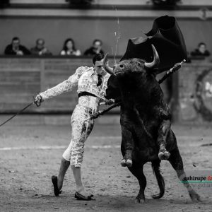 gahirupe_arnedo_2017_ (16)