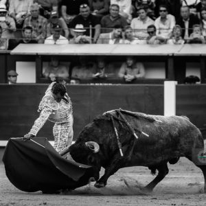 gahirupe_domingo_ramos_madrid_2017_ (15)