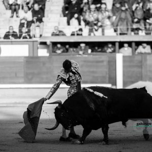 Gahirupe Eugenio de Mora 2017