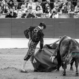 Gahirupe Morante de la Puebla Baeza 2017