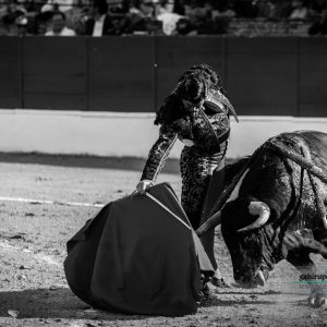 Gahirupe Morante de la Puebla Baeza 2017