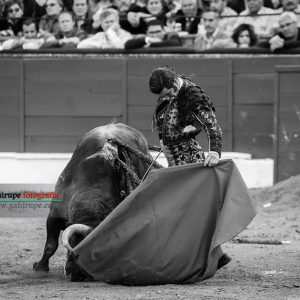 Gahirupe Morante de la Puebla Baeza 2017