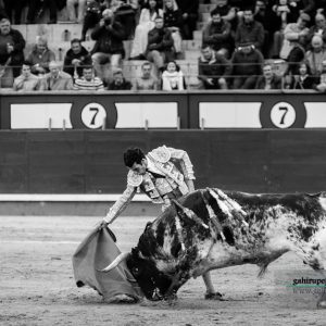 Gahirupe Morenito de Aranda 2017