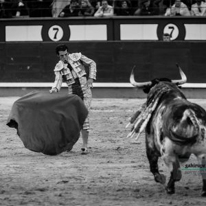 Gahirupe Morenito de Aranda 2017