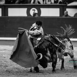 Gahirupe Morenito de Aranda 2017