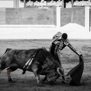 Gahirupe Alejandro Talavante 2017