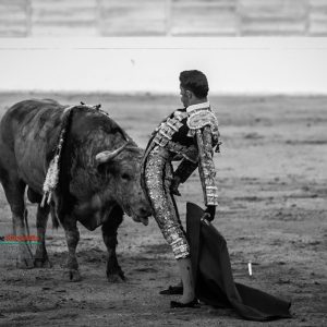 Gahirupe Alejandro Talavante 2017