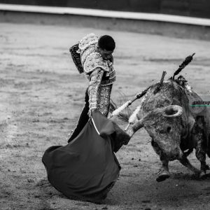 Gahirupe Alejandro Talavante 2017