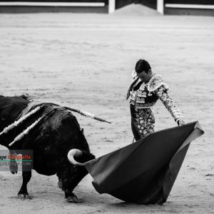 gahirupe_jose_maria_manzanares_madrid_2017- (9)